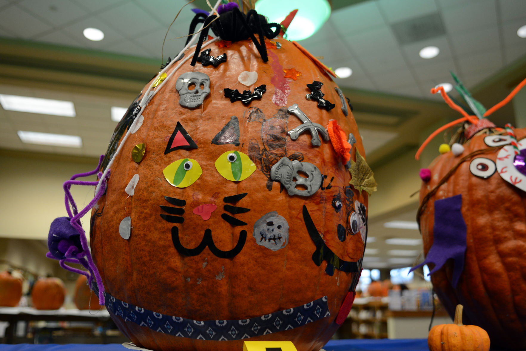 Pumpkin contest